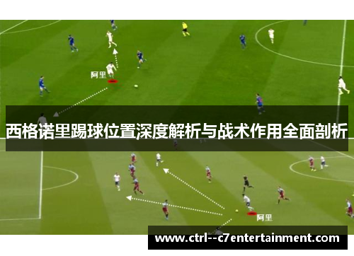 西格诺里踢球位置深度解析与战术作用全面剖析