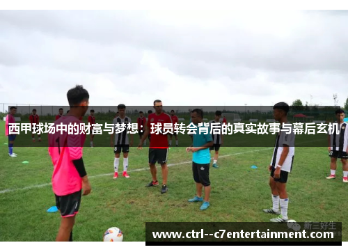 西甲球场中的财富与梦想：球员转会背后的真实故事与幕后玄机