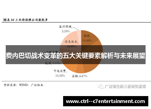费内巴切战术变革的五大关键要素解析与未来展望